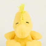 胡士托 - 图片 2